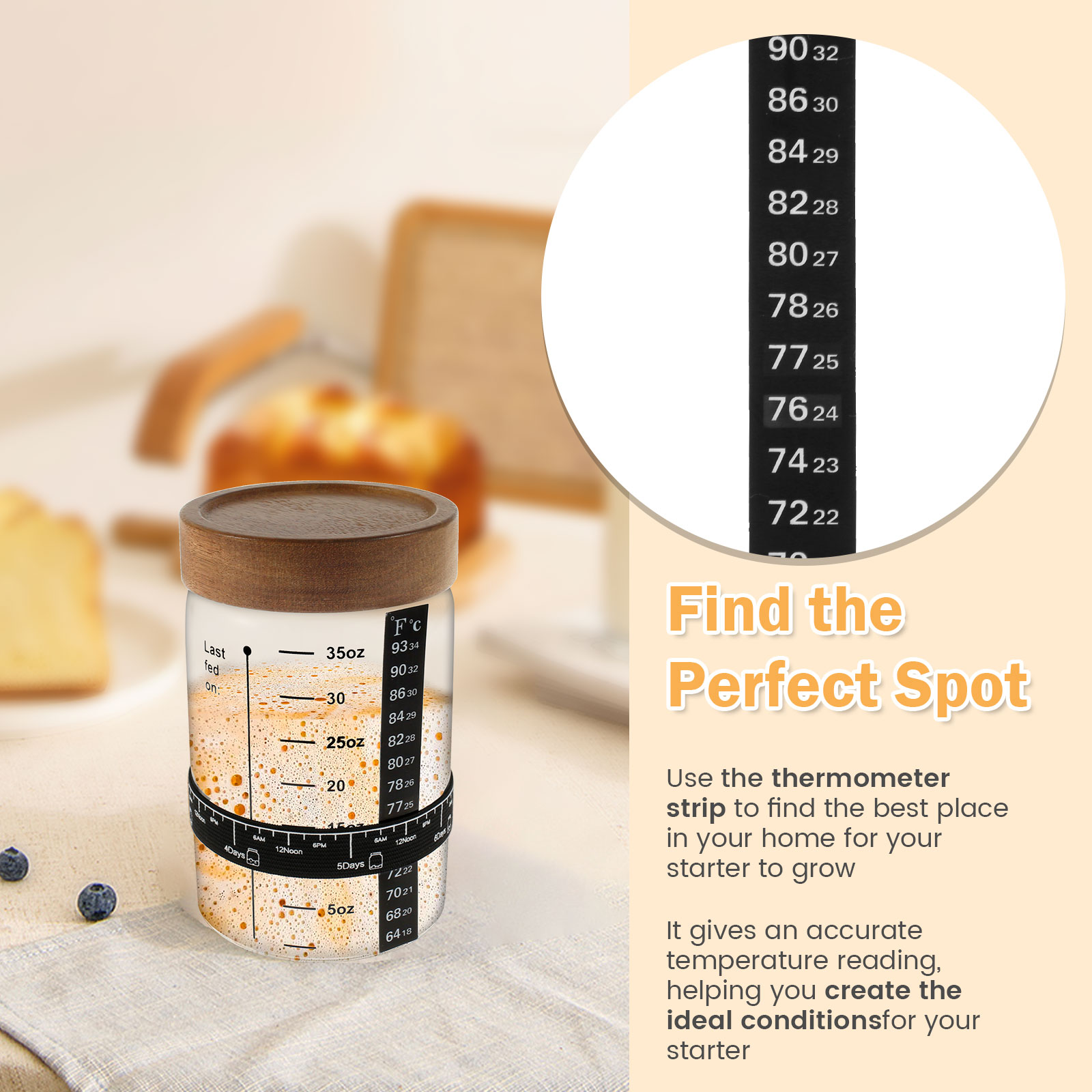 Sourdough Starter Jar Kit 1000 - Kitchen Baking Containers 리뷰 및 가격